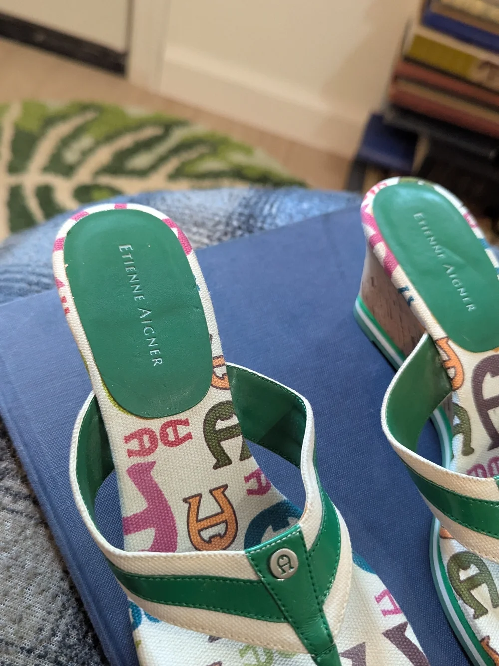 Etienne Aigner Green Multicolor Logo-Print Women's Thong Sandals